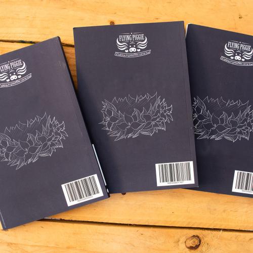 Dancer Polynesian notebooks three back