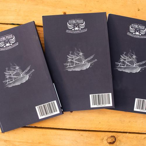 mermaid notebooks three back