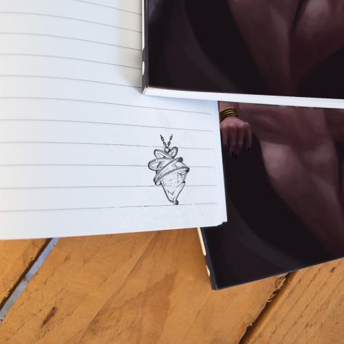 Sorceress notebooks interior