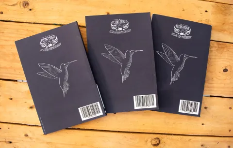 shoppinggirl notebooks three back